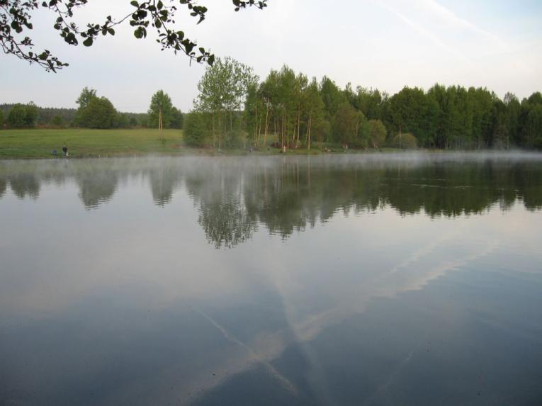 Kytarárna